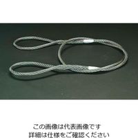 エスコ 6mmx 10m ワイヤースリング EA981WK-10 1本（直送品）