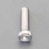 エスコ M3 x10mm[A2ー100]低頭六角穴付ボルト(SUS/4本 EA949MY-310 1セット(40本:4本×10袋)（直送品）