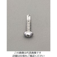 エスコ 4x13mm ピアスビス(ナベ頭/ステンレス/50本) EA949EG-542 1セット(500本:50本×10パック)（直送品）