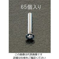 エスコ M3x20mm 皿頭小ねじ(ステンレス製/65本) EA949SK-36 1セット(650本:65本×10袋)（直送品）