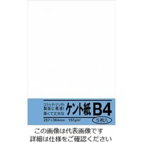 エスコ B4判 ケント紙(5枚) EA762GB-122 1セット(75枚:5枚×15袋)（直送品）