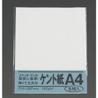 エスコ A4判 ケント紙(5枚) EA762GB-121 1セット(100枚:5枚×20袋)（直送品）
