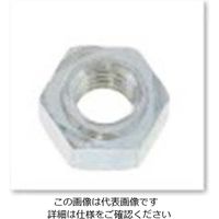 エスコ 溶接六角ナット(パイロット有/生地) EA949LW