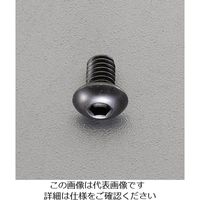 エスコ M 3x 6mm六角穴付ボタンボルト(ステンレス/黒色/4本) EA949MS-306 1セット(120本:4本×30セット)（直送品）