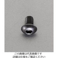 エスコ M 4x 6mm六角穴付ボタンボルト(ステンレス/黒色/4本) EA949MS-406 1セット(120本:4本×30セット)（直送品）
