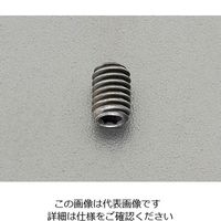 エスコ M 6x10mm六角穴付止めねじ(ステンレス/黒色/4本) EA949MV-610 1セット(80本:4本×20セット)（直送品）