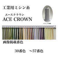 大貫繊維　工業用ミシン糸　エースクラウン#50/3000m　30番色　1セット（3000m巻×6本）（直送品）