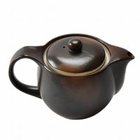 アースモス ティーポット やきしめ ポット [2個入] vac-114-06004（直送品）