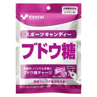 ブドウ糖 専用 大丸本舗 ぶどう糖 100% 18粒 1袋 : アズミ薬品2 - 通販 - Yahoo