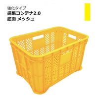 Amazon | 採集コンテナ（ｵﾚﾝｼﾞ）平底5個 約520（横）*約365（縦