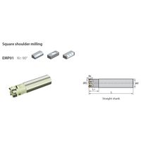 株洲工具 刃先交換式エンドミル EMP01ー063ーG32ーAP16ー06 1本（直送品）