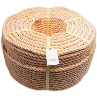 三友産業 PVカラーロープ Φ12mm×200m HR-546 1巻（直送品）