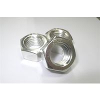 中島工機 やきつかナット ステンレス製 YKコート(ドライ仕上げ) M10 YTN-M10 1セット(20個)（直送品）