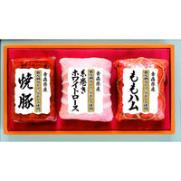 銀河フーズ 【お歳暮ギフト・熨斗付き】銀河フーズ 奥入瀬ガーリックポークギフト GFO-615 731218 1セット（直送品）