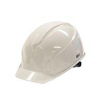 谷沢製作所 タニザワ(谷沢製作所) 保護帽 ヘルメット ホワイト Wー1 ST 