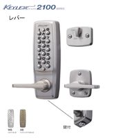 長沢製作所 キーレックス 2100 22423D アンティックブラスメッキ 51111043 1セット（直送品）