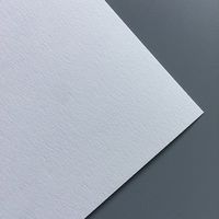 日本紙パルプ商事 香料試験紙 0.32mm 004