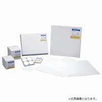 アドバンテック東洋（ADVANTEC） ガラス濾紙GB-100R 37mm（100枚） 36321037 1箱（100枚）（直送品）