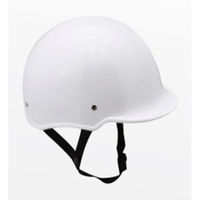 TOYO ]ԗpwbg L 500/L 1Zbg(5)iij