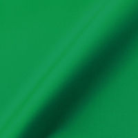 日本紐釦貿易 日本紐釦 ナイロンオックス生地 アウトドア　巾約117cm×2mカット　グリーン　CNX210-32-2M（直送品）