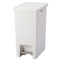 アスベル エバンペダルペール30L 6002 1個（直送品）