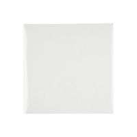 ベルグリーンワイズ OPPフィルム #20 150×150 1000枚(1000枚×1) 00542631 1包(1000枚入)（直送品）