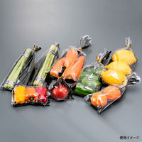 防曇 野菜袋 Coolo防曇 9号 規格品 10000枚(1000枚×10) 8860 1ケース(10000枚入(1000枚×10袋))（直送品）