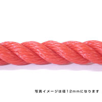 伊藤製鋼 ポリエチレンロープ　赤　１２ｍｍ　１００ｍ巻 6300040545 1巻（直送品）