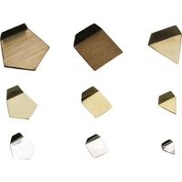 大正天びん製作所 ViBRA E2PSOー10M:OIML型板状分銅 小質量 10mg E2級 JCSS校正付 E2PSO-10M 1個（直送品）