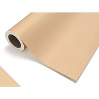 中川ケミカル カッティングシート213アイボリー450mm×12M CS045213R 1本 175-6124（直送品）