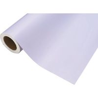 中川ケミカル カッティングシート518ベビーブルー450mm×12M CS045518R 1本 175-6066（直送品）