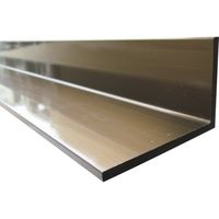 アルインコ アルミ不等辺アングル 20X40X2.0 ブロンズ 3.65m FA141BS 1本 849-4237（直送品）
