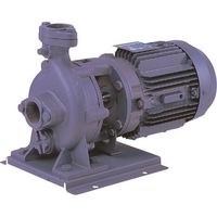 荏原製作所 エバラ FVD型ブルテックスポンプ 60Hz 口径40mm 出力