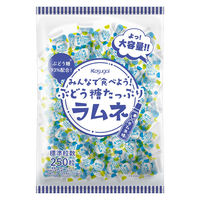 春日井製菓 550gみんなで食べよう！ぶどう糖たっぷりラムネ 1袋