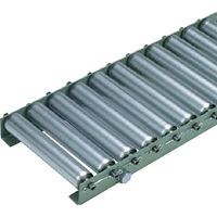 タイヨー TRーB3816L型 ローラー幅100W×P50×機長2000L(Lフレーム) B3816L-100-50-2000 1台（直送品）