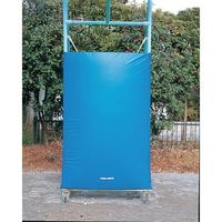 トーエイライト ジュニアバスケットマットST B2435B 1組(2枚) 362-2912（直送品）