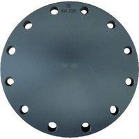 積水化学工業 エスロン 板フランジSB型 250 JIS10K PVC FSB2F 1枚 850-6181（直送品）