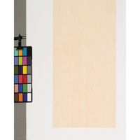 東京メディカル 不織布シート 100枚入り ベージュ 66角 FUBE-66 1袋(100枚) 816-7780（直送品）