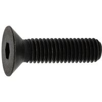 SUNCO サラCAP(GOSHO 10×55 (10本入) A0-00-200G-0100-0550-00-10 1パック(10本)（直送品）