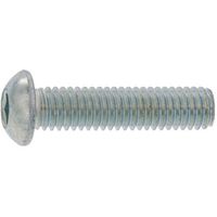 SUNCO ボタンCAP(日産ネジ JIS B 1174 8×40 (30本入) A0-00-100N-0080-0400-00-30（直送品）