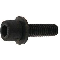 SUNCO 10.9GTーL CAP 4 X 8 (20本入) A0-00-9L00-0040-0080-00-20 1パック(20本)（直送品）