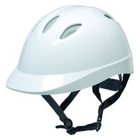 DICプラスチック 自転車用ヘルメット ベンチレーション付き TS06V-2
