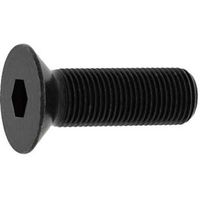 SUNCO サラCAP(細目 Pー1.5 16×40 (1本入) A0-00-2004-0160-0400-00-1 1パック(1本)（直送品）