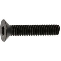 SUNCO ステンレス TORXーサラCAP DIN規格 5×16 (9本入) A0-02-T200-0050-0160-00-9（直送品）