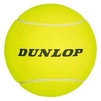 DUNLOP（ダンロップテニス） テニス コートサイドグッズ ボール イエロー