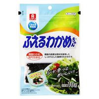 理研ビタミン 理研 ふえるわかめちゃん 韓国 10g x10 4903307628044 1セット(10個)（直送品）