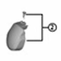 シマノ Y0BF98030 STーR9100 ネームプレート 右/ネジ 1セット(4個)（直送品）