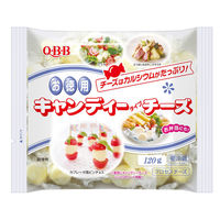 [冷蔵]六甲バター QBB 徳用キャンディーチーズ 120g×2個 4903308060188 1箱(2個) 六甲バター（直送品）