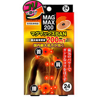 マグマックス MAGMAX200 マグマックスBAN 24粒入 4589469292127 1箱(24粒入)×3セット（直送品）