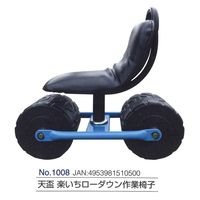 ドウカン 天盃　楽いち　ローダウン 1008 5個（直送品）